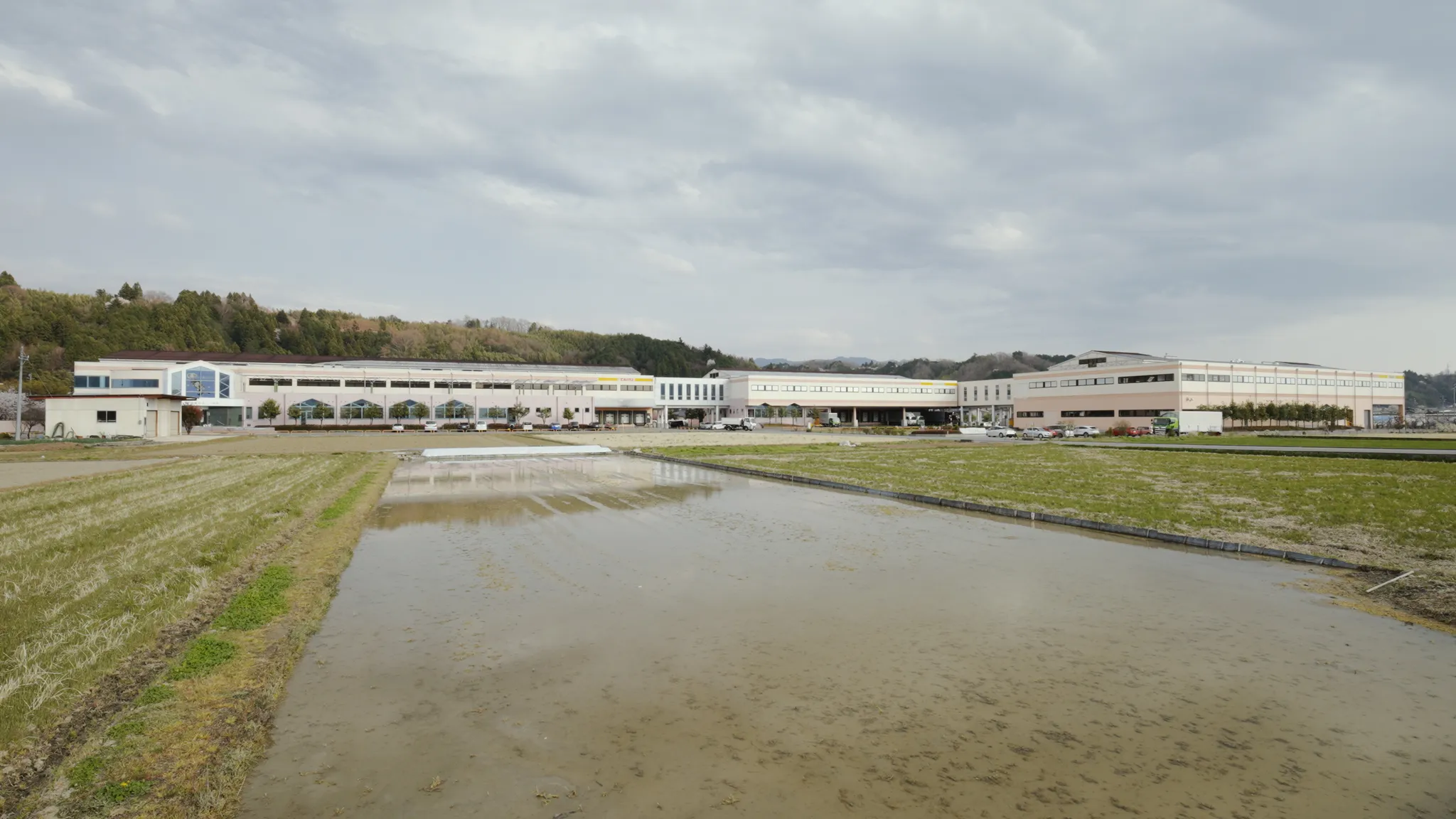 水田の奥に建つ、横長の大きな工場の外観。天恵製菓株式会社。