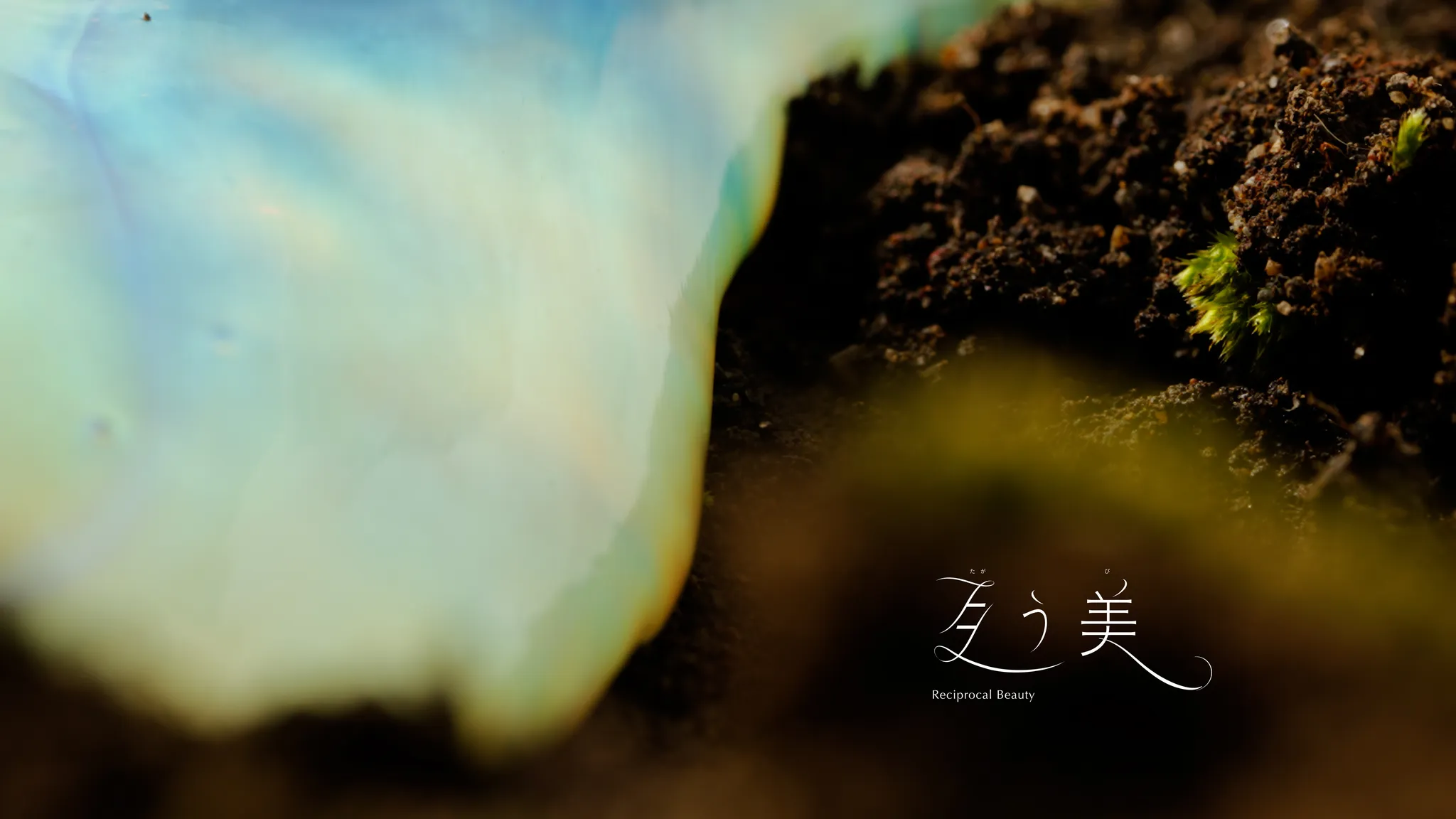 青白く光沢のある滑らかな構造色をもつ液体が、苔が生えた土に溶けて自然に還ってゆく様子のクローズアップ。右下には「互う美（たがうび）Reciprocal Beauty」の文字。
