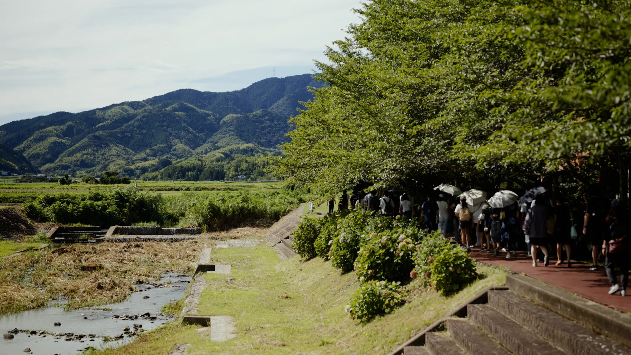 緑豊かな小川の隣の道を歩く人々のグループ。遠くには田園と山々が広がる。伊都国歴史博物館付近の様子。